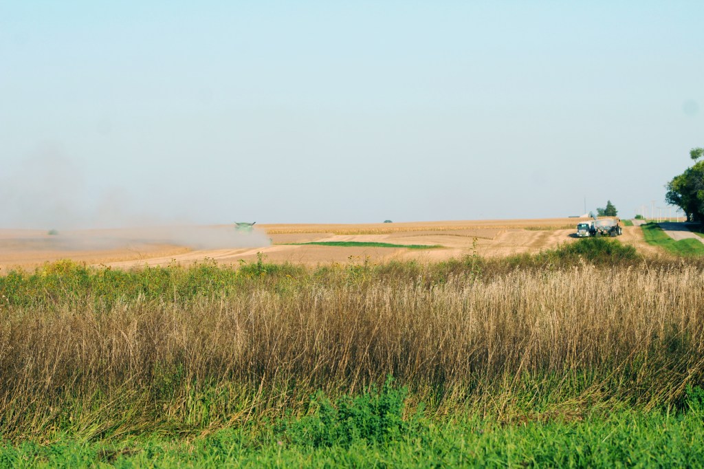You can see them working for miles due to the dust clouds on the horizon. Dust is everywhere.